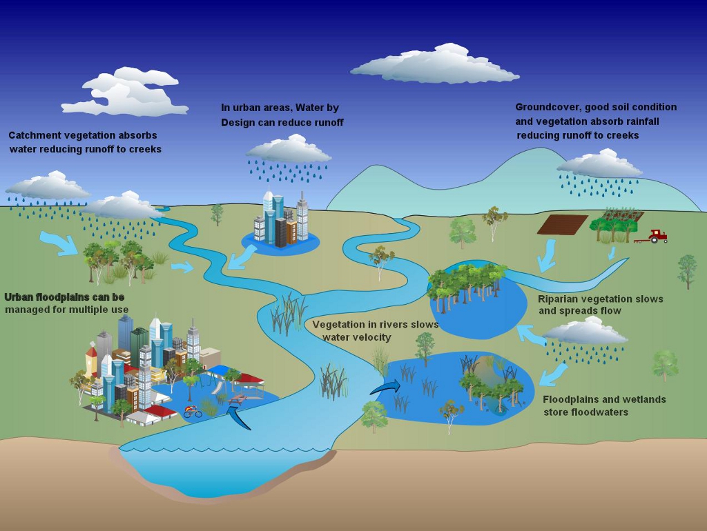 Wetlands And Disaster Management Department Of Environment And Science 