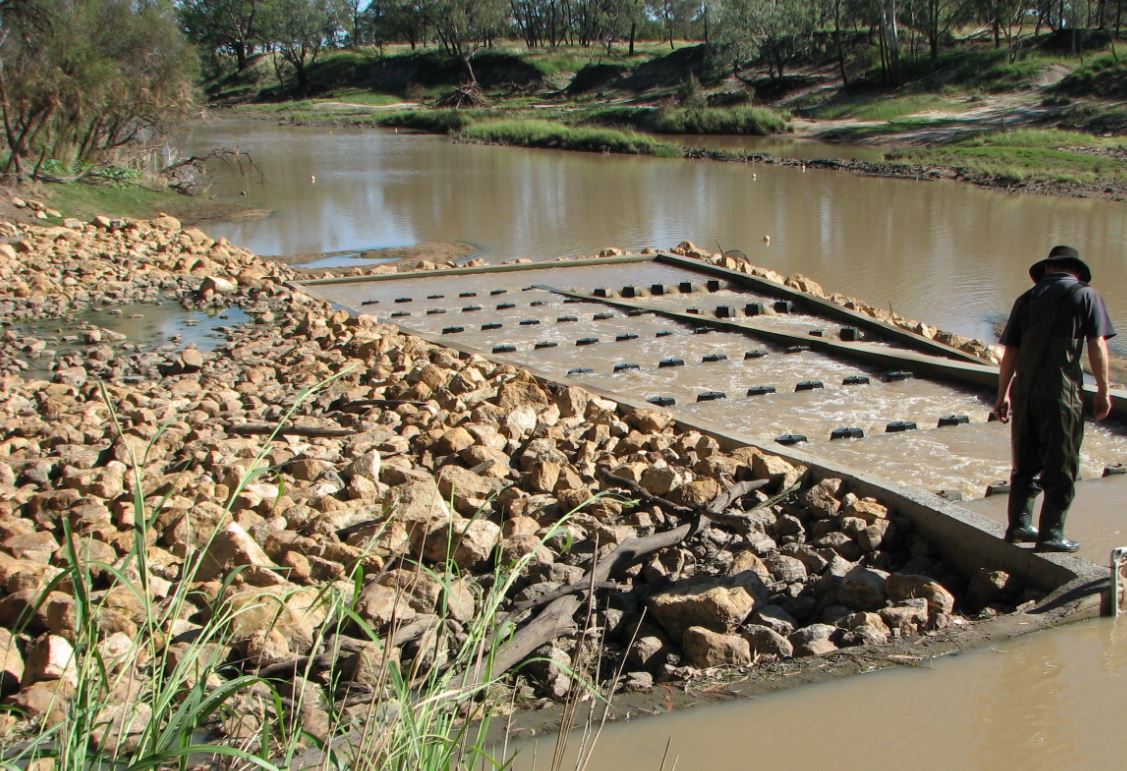 Reilly's Weir with monitoring net, Condamine River, Queensland Photo by Andrew Berghuis