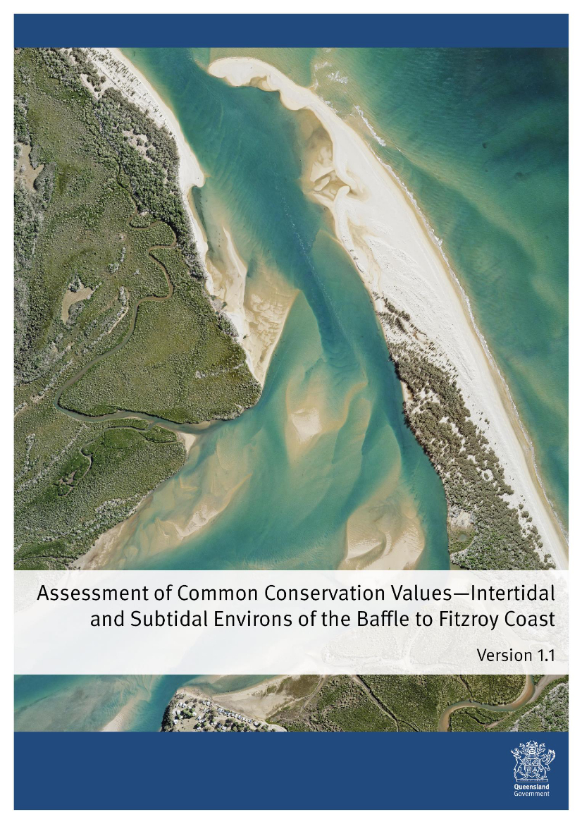 Assessment of Common Conservation Values - Intertidal and Subtidal Environs of the Baffle to Fitzroy Coast
