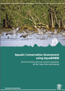 Cape York Aquatic Conservation Assessment