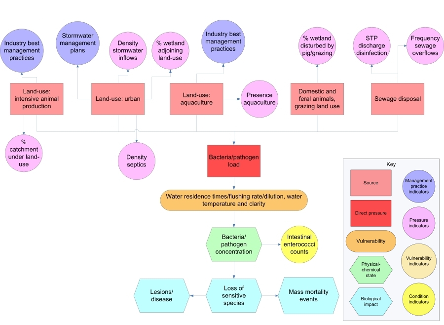 bacteria-identification-classification-flowchart-ubicaciondepersonas