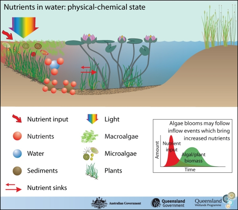 Nutrients – State (Department of Environment Science)