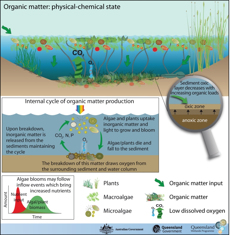 organic-matter-state-department-of-environment-and-science