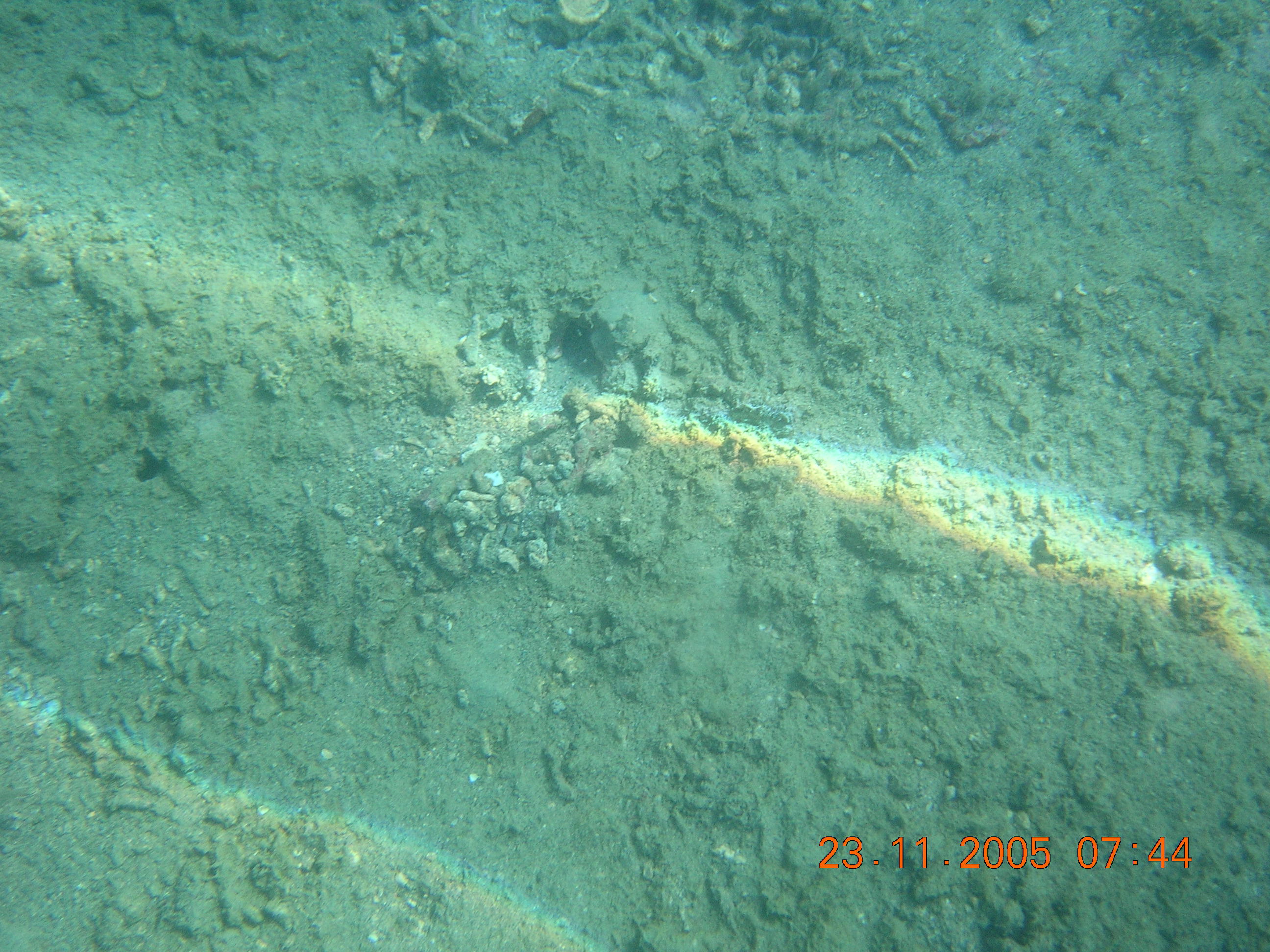 Subtidal gravel (low energy). Photo by Maria Zann