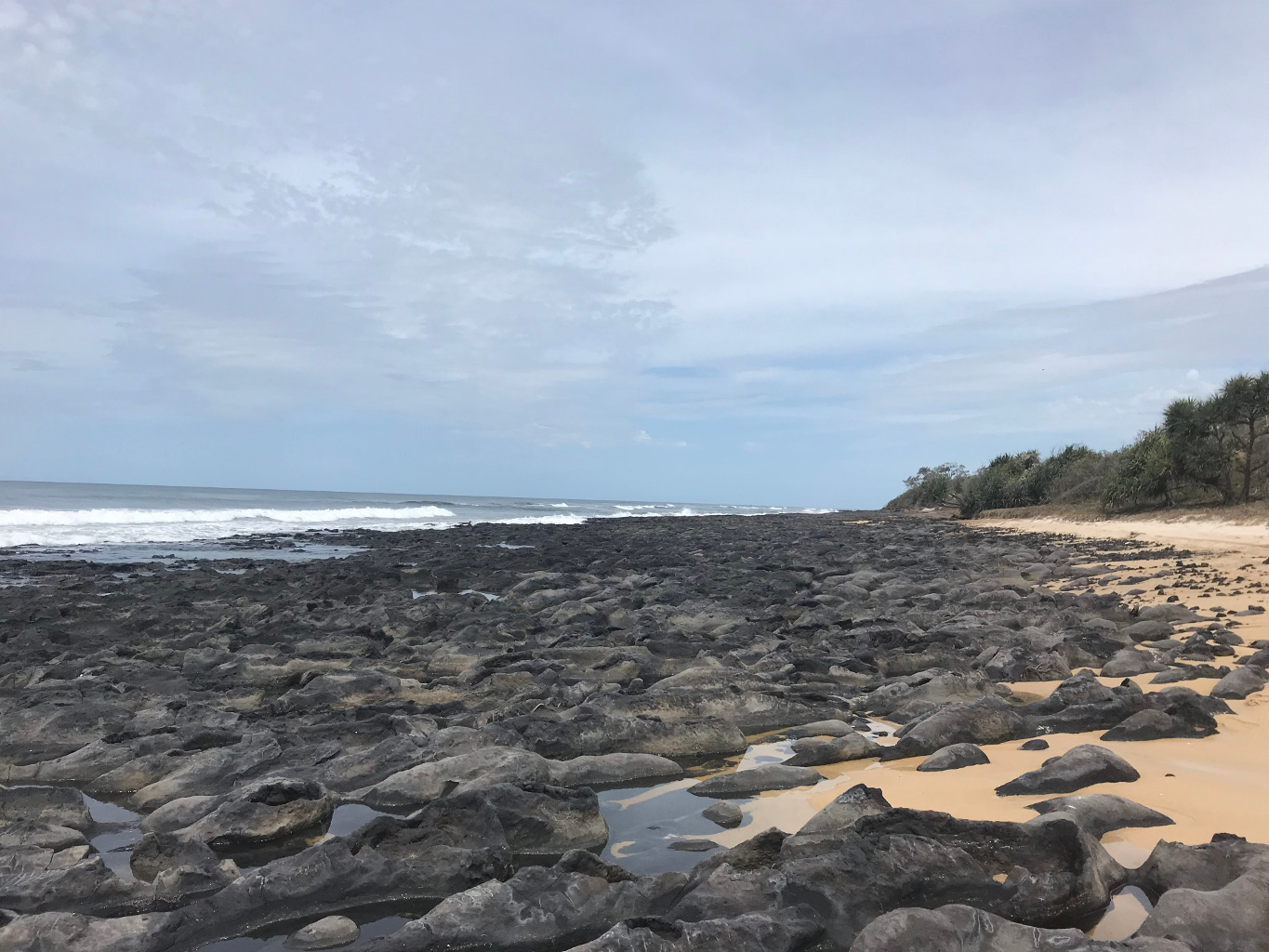 Exposed coffee rock on the eastern beach of K'gari. Photo by Linda Behrendorff, Queensland Government