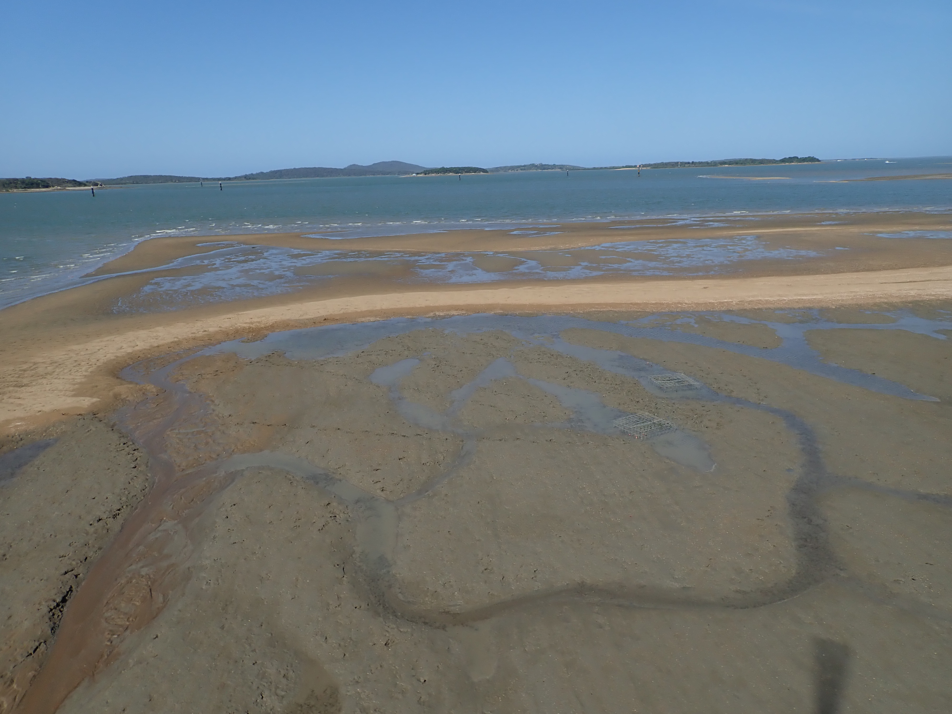 A low wave energy mudflat may periodically experience high wave energy, Gladstone. Photo by TropWATER Seagrass Ecology Group