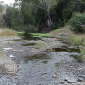 O'Connell River, Photo by Water Planning Ecology Group, DSITIA