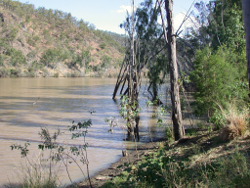 Flat banks in the Fitzroy River Photo by Water Planning Ecology Group, DSITIA