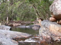 Volcanic rocks and boulders in Double Creek Photo by Water Planning Ecology Group, DSITIA