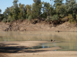 Moderately inclined banks in the Lake Eyre basin Photo by Water Planning Ecology Group, DSITIA