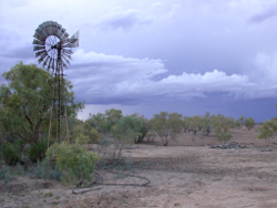 Summer rains at Shed Waterhole Hammond Downs Photo by Water Planning Ecology Group, DSITIA