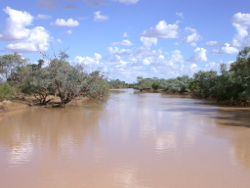 The Diamantina River in flood at Monkira Photo by Water Planning Ecology Group, DSITIA
