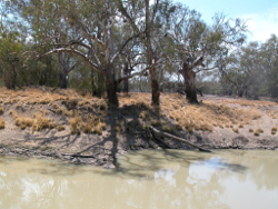Concave banks at rocky waterhole saltbush Photo by Water Planning Ecology Group, DSITIA