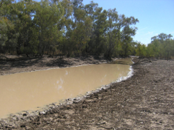 Flow at the Moonie River Bullamon Plains Photo by Water Planning Ecology Group, DSITIA