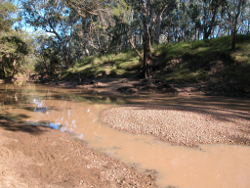 Low flows in the Balonne River  Photo by Water Planning Ecology Group, DSITIA