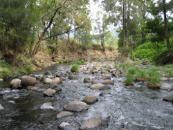 Cobbles dominate riffle substrate Running Creek Drynans  Photo by Water Planning Ecology Group, DSITIA