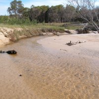Flinders Beach, Stradbroke  Island, Photo by Water Planning Ecology Group, DSITIA