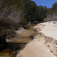 Flinders Beach, Stradbroke Island, Photo by Water Planning Ecology Group, DSITIA