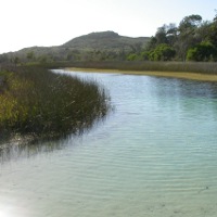 Yellow Patch, Moreton Island, Photo by Water Planning Ecology Group, DSITIA