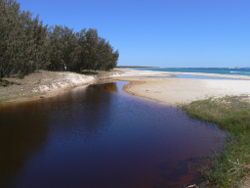 Flinders Swamp Outflow North Stradbroke Island Photo by Water Planning Ecology Group, DSITIA