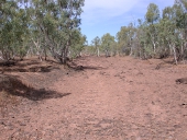 Very dry conditions, Photo by Water Planning Ecology Group, DSITIA