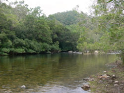 Perennial flows in the Wet Tropics freshwater biogeographic province Photo by Water Planning Ecology Group, DSITIA