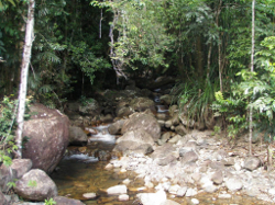 Stream slopes are relatively steep in the Wet Tropics Freshwater Biogeographic Province Photo by Water Planning Ecology Group, DSITIA