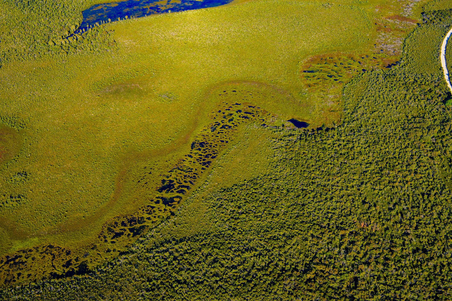 Aerial view of patterned fens on Mulgumpin. Photo by Gary Cranitch © Queensland Museum