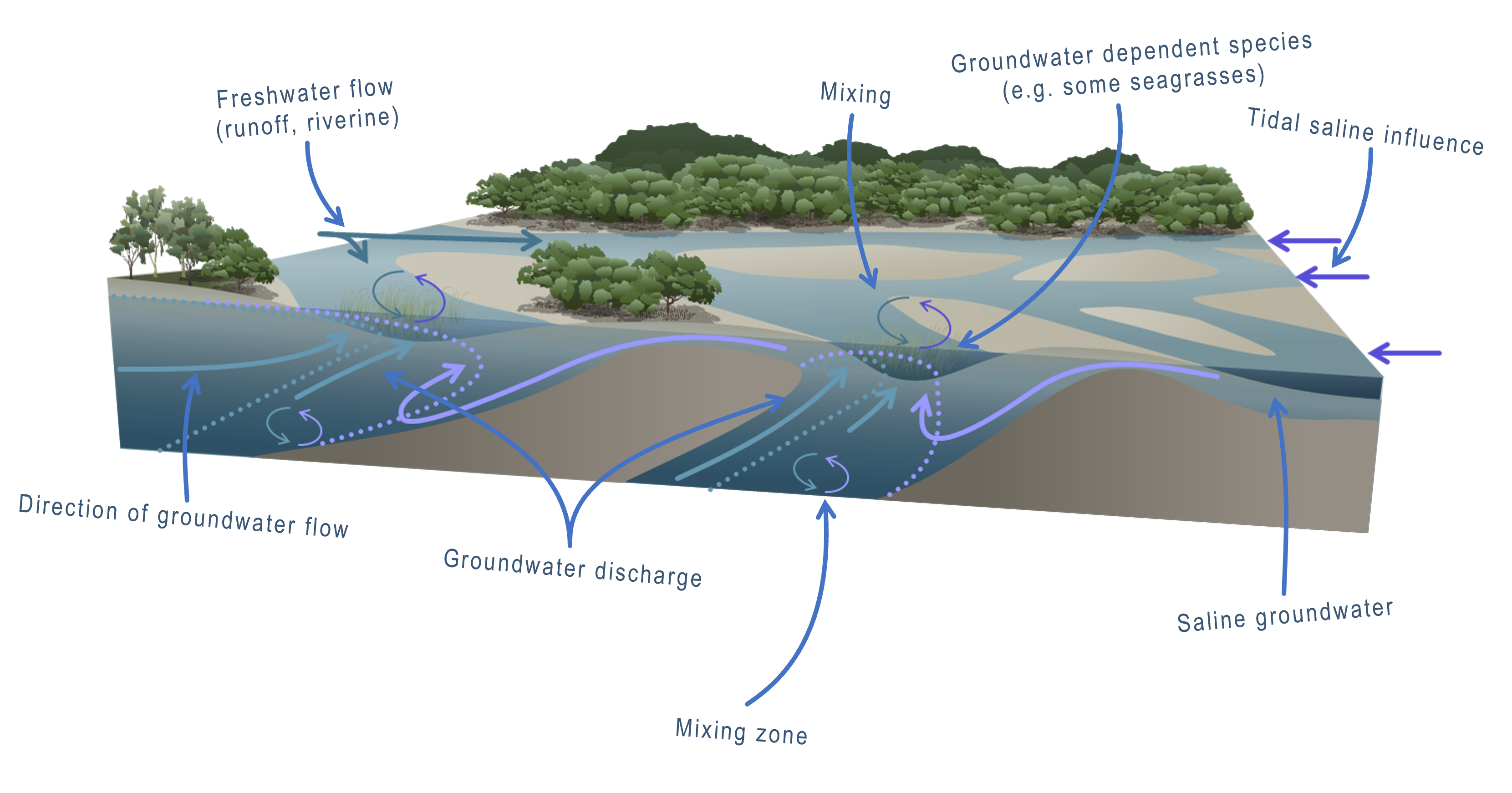 Groundwater discharge to the sea. Waves and tides are involved in groundwater pumping and mixing