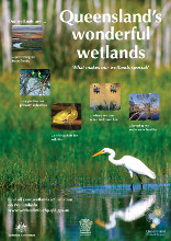 Download the Queensland’s wonderful wetlands brochure or poster