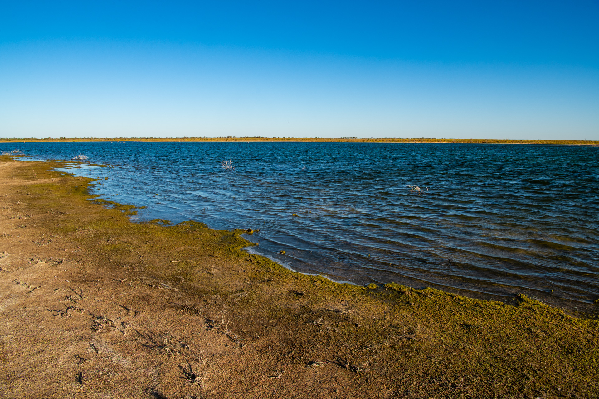 Lake Wyara, an intermittent saline lake in the Paroo Catchment. Photo by Gary Cranitch © Queensland Museum