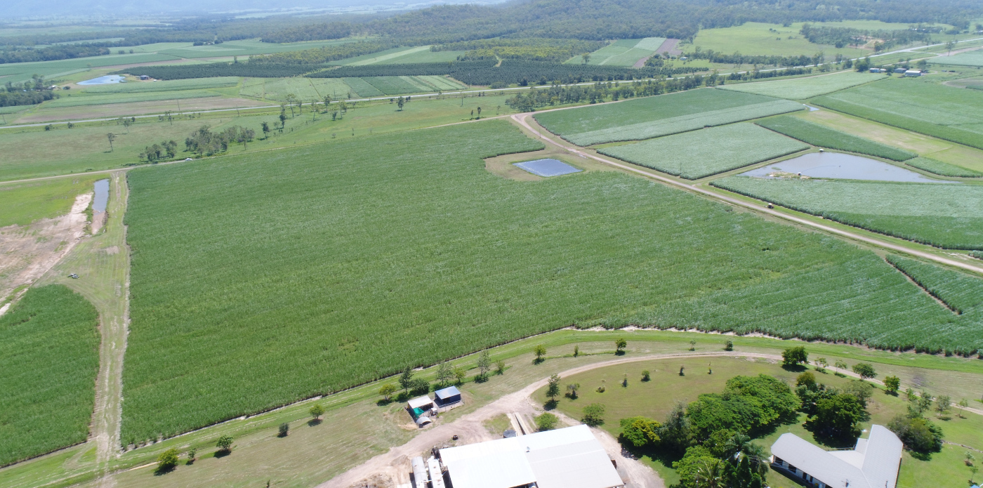 Drone footage of pastures in the Plane Catchment Photo by Reef Catchments