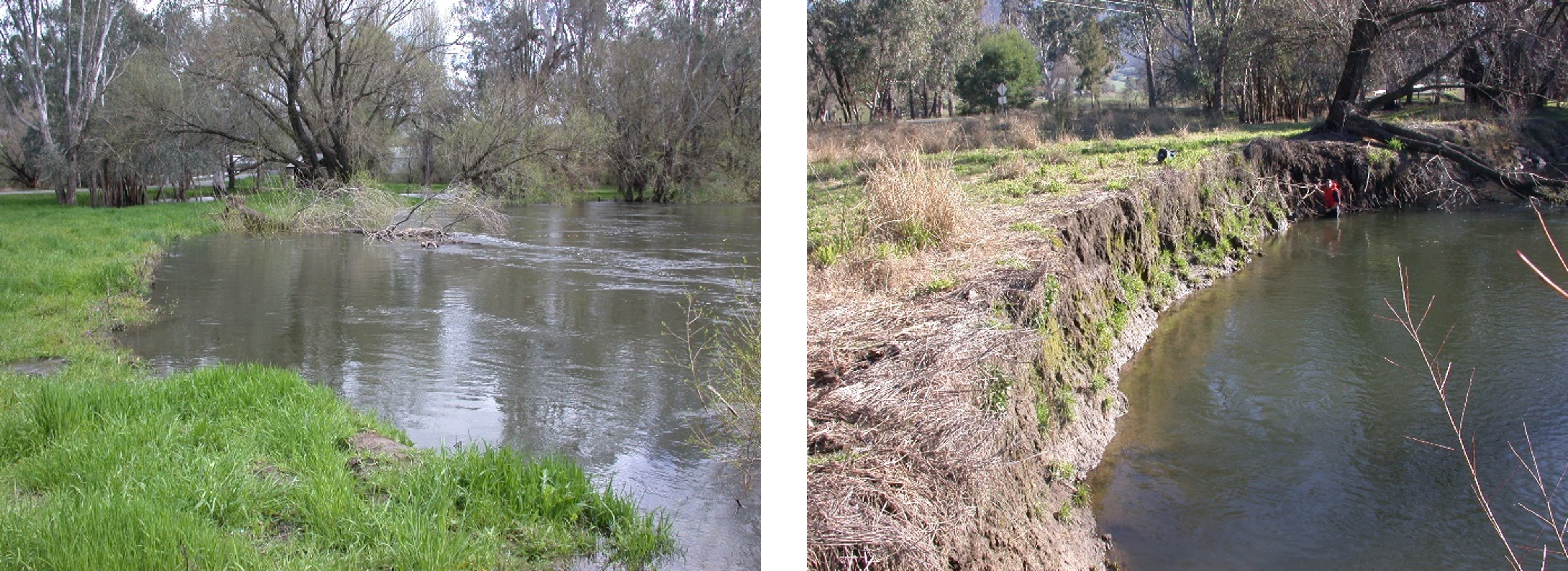 The Kiewa River in Victoria at bankfull flow and low flow. Photos by James Grove