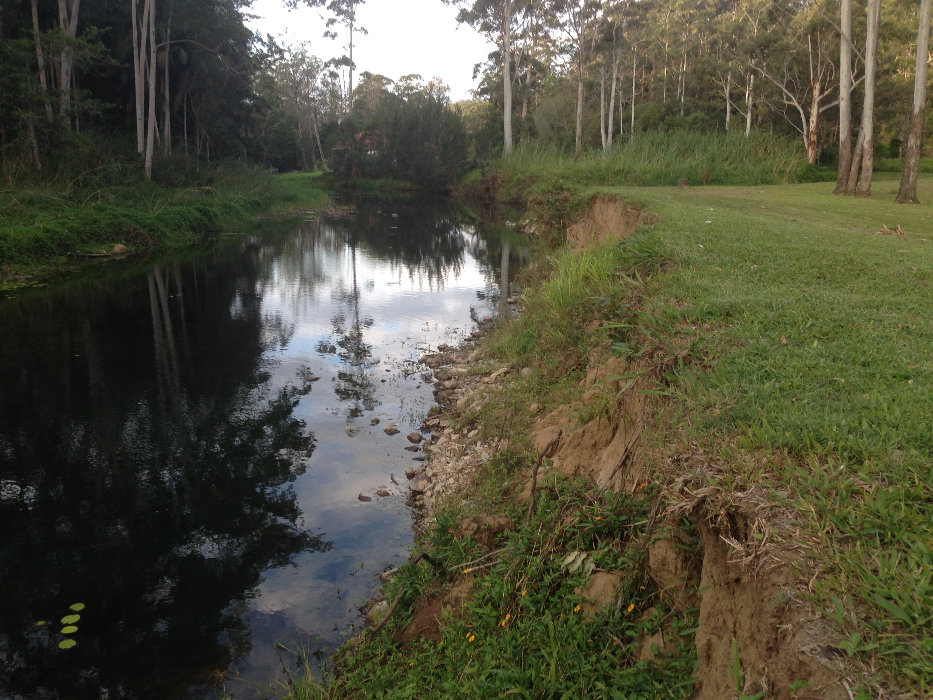 Progression of river rehabilitation project work at Smales Park, Tallebudgera, in <strong>2014</strong>, Photo by Misko Ivezich