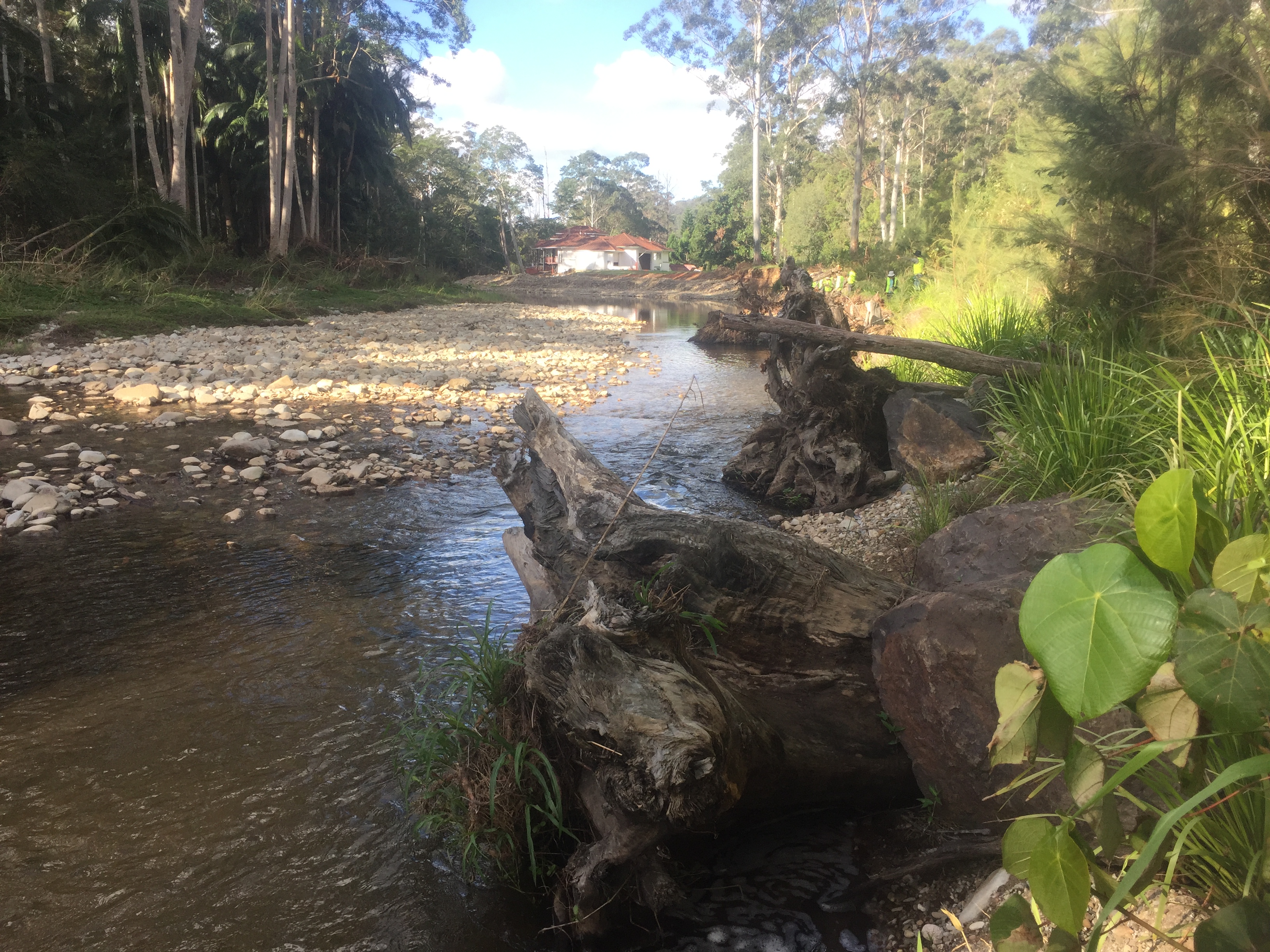 Progression of river rehabilitation project work at Smales Park, Tallebudgera, in <strong>2017</strong>, Photo by Misko Ivezich