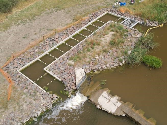 Attraction flow over the weir at the fishway entrance (Barwon Barrier, Victoria), also showing traps in place at the upstream end of the fishway to assess effectiveness of passage and debris boom at exit Photo by Tim Marsden
