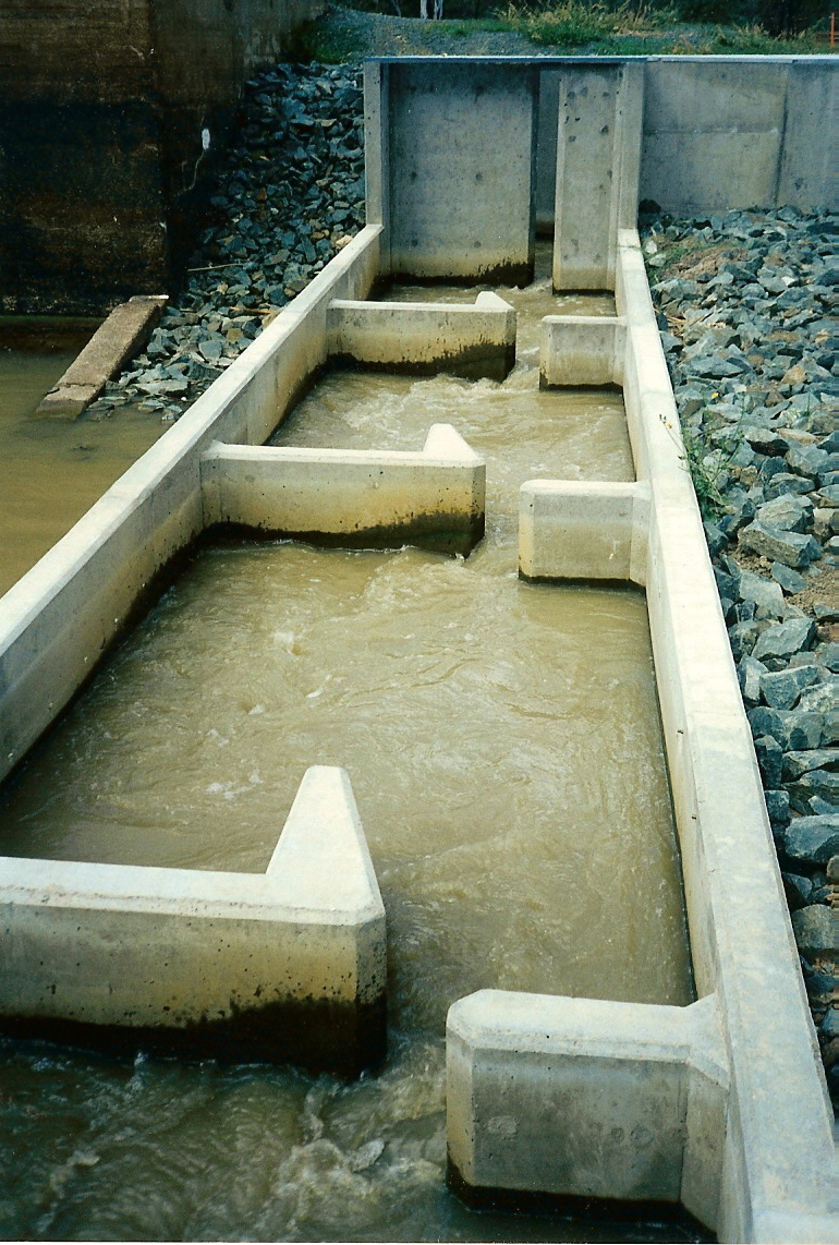 Flow through vertical slot fishway, showing concrete channel and baffles with rectangular slot, Broken Creek, Rices Weir, Victoria
Photo by Ivor Stuart