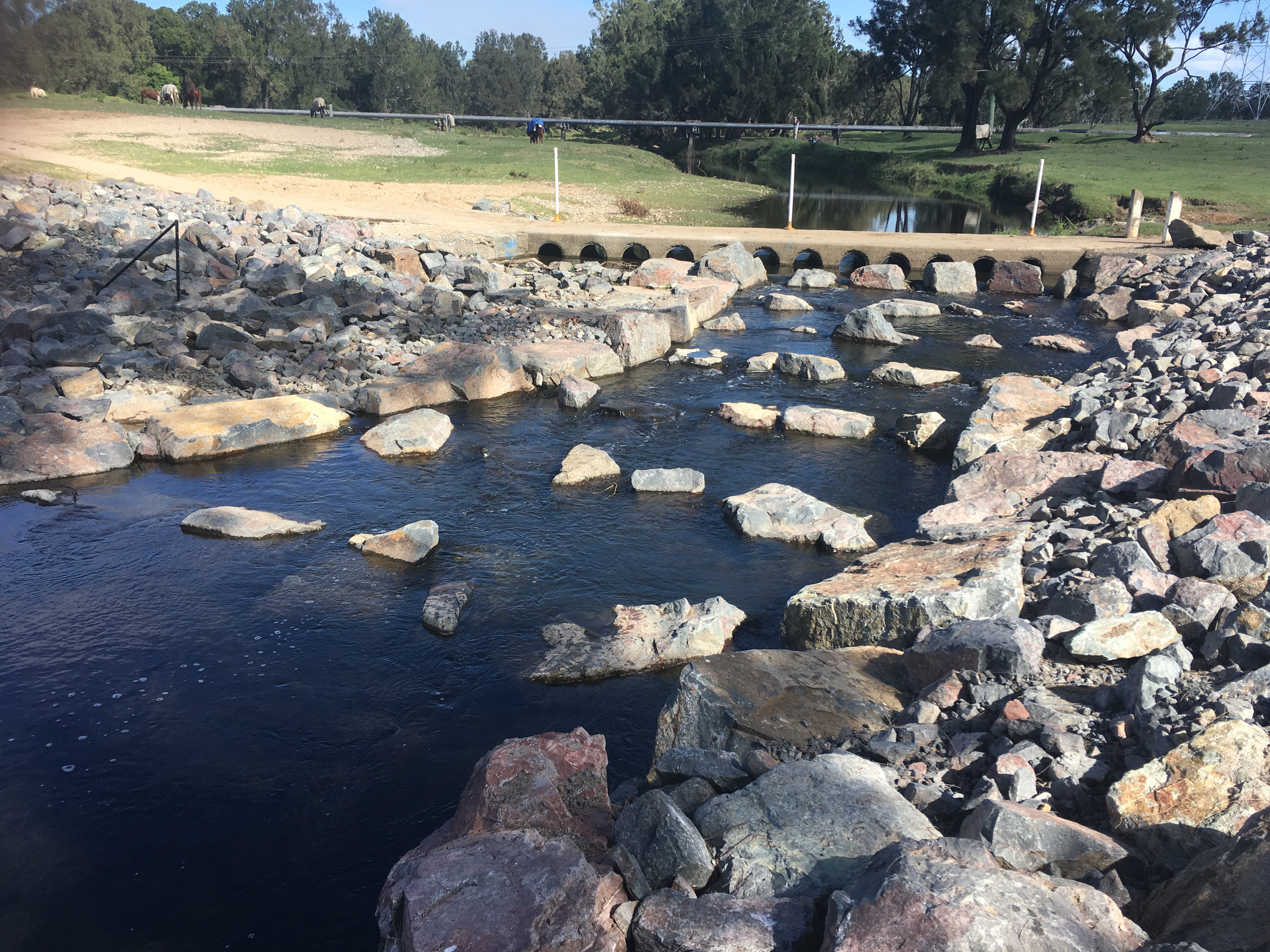 Full width rock ramp fishway designed to remediate water surface drop on downstream side of culvert apron and remediate velocity barrier within pipe culverts by increasing depth in culverts (Leitchs Crossing, South Pine River, Queensland) Photo by Matthew Moore