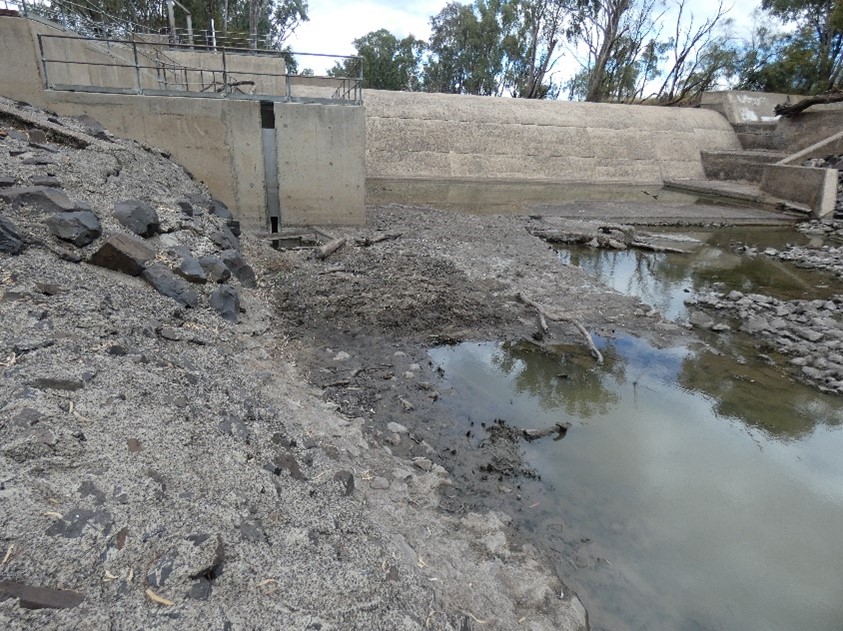 Loudoun Weir, Condamine River, Queensland showing vertical slot fishway entrance (left), and gravel accumulation over trapezoidal fishway in front of low flow fishway entrance Photo by Douglas Harding