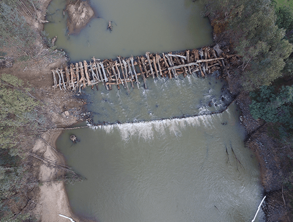 Cross-channel log jam, constructed to slow anabranch development. Photo by B. Berry