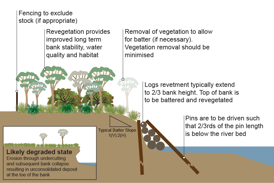 Cross-sectional diagram of typical timber revetment bank works. Image by Queensland Government