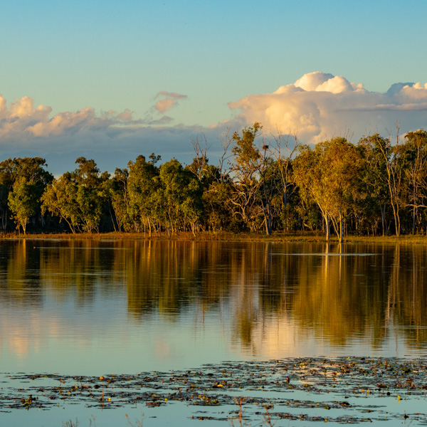 Reeves Lake, Photo by Gary Cranitch © QLD Museum