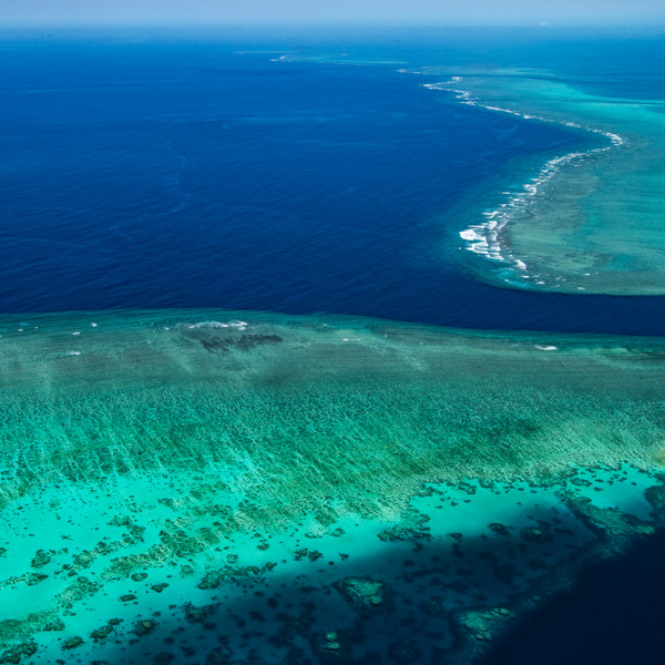 Outer barrier reef, Photo by Gary Cranitch © QLD Museum