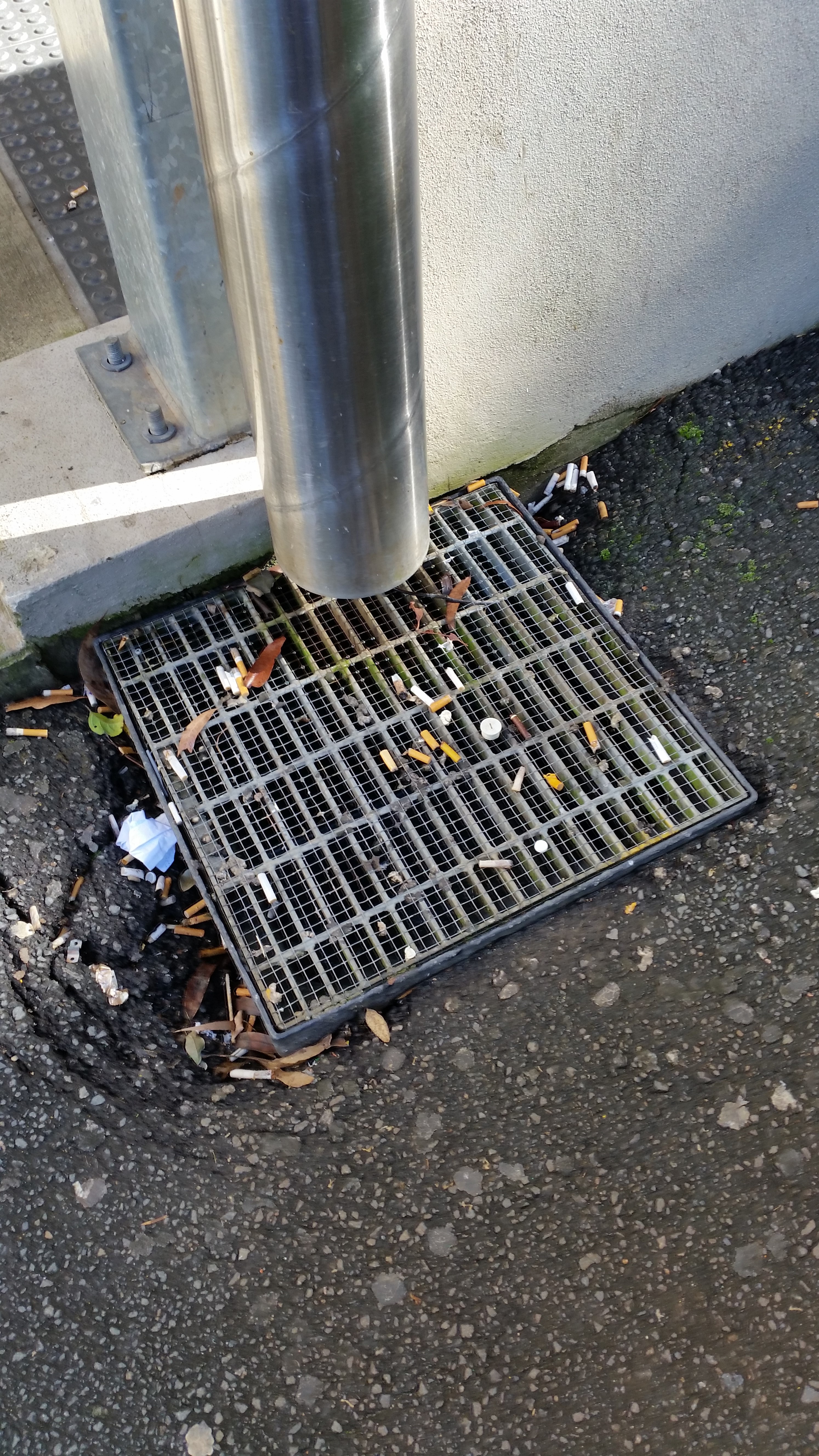 Rubbish on a drain from downpipe Photo by Queensland Government