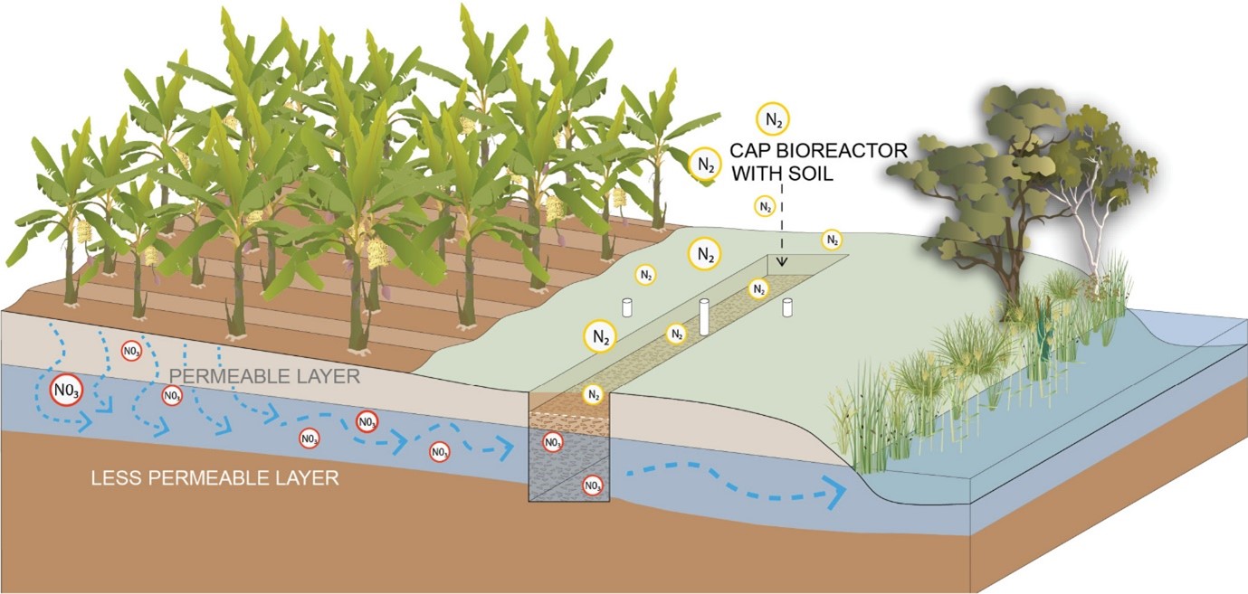 Figure 7 Bioreactor wall. Image by AWC for the Queensland Government