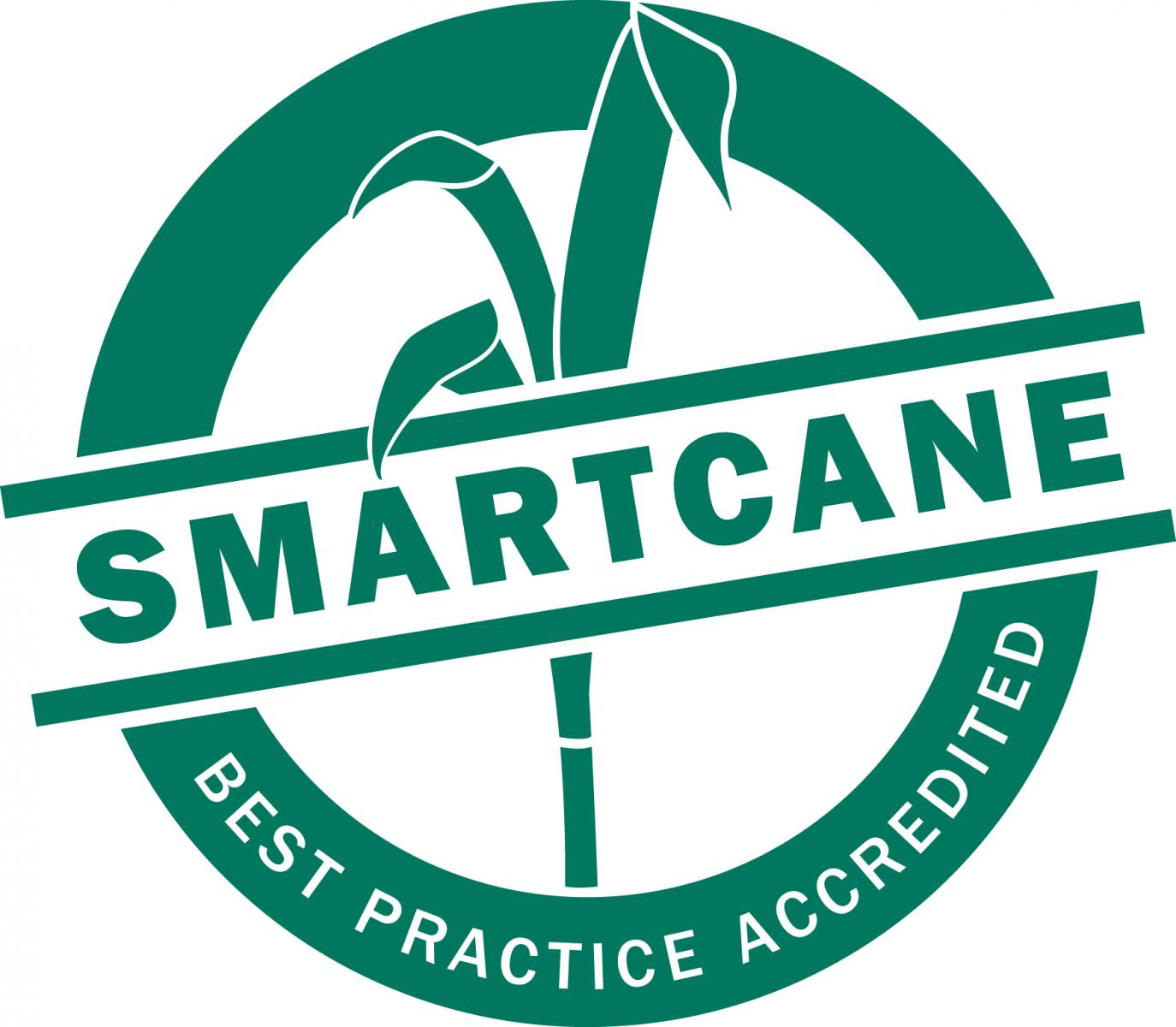 Smartcane logo