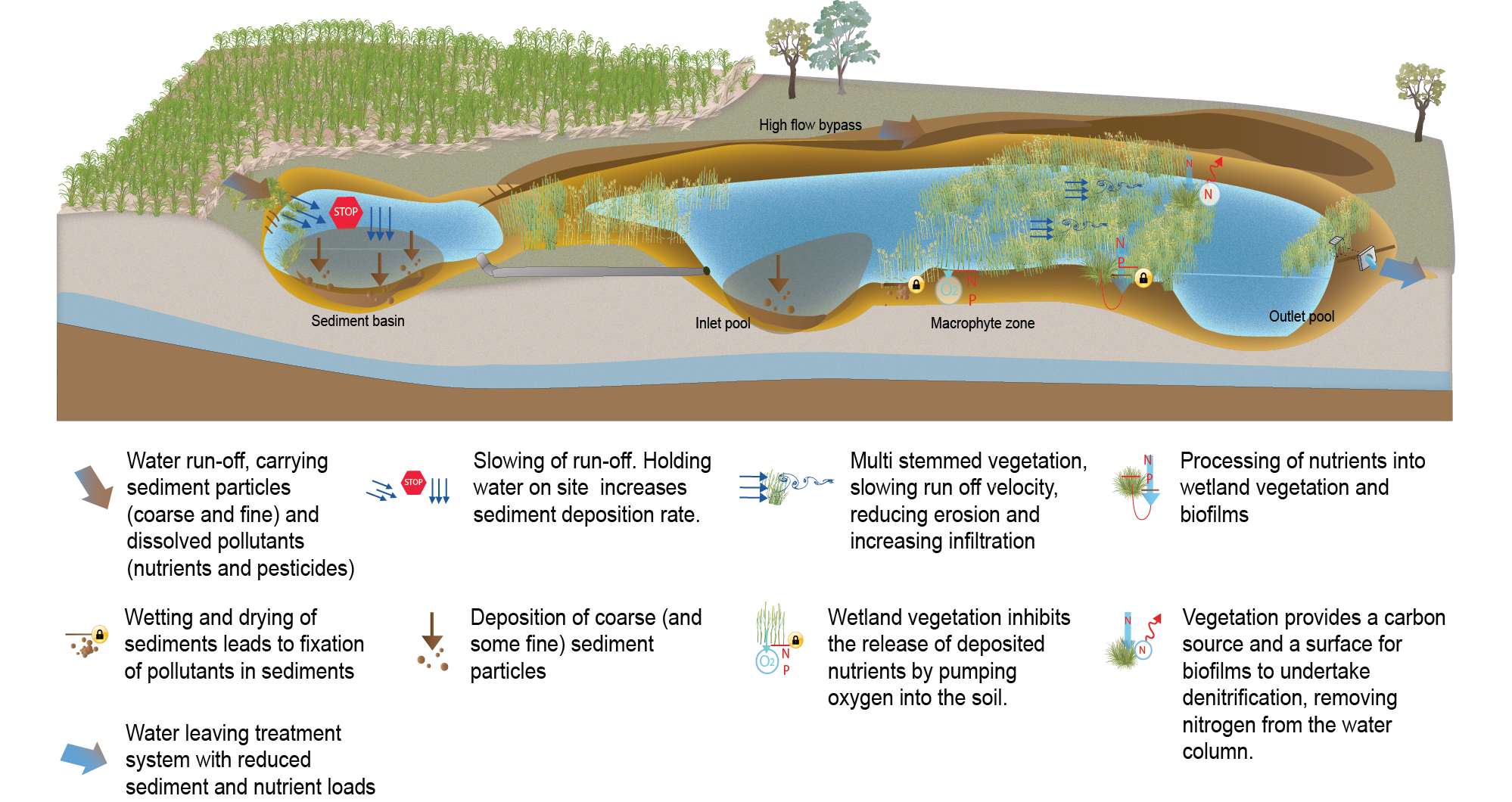 Treatment wetlands — Key Considerations (Department of Environment and