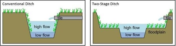 Figure 5 Illustration of a conventional ditch versus a two-stage ditch used to treat tile drainage in the United States of America. This shows how during flow events, water spreads out over the vegetated benches increasing residence time, enabling treatment and increasing drain capacity. Image by Jennifer Tank, University of Notre Dame.