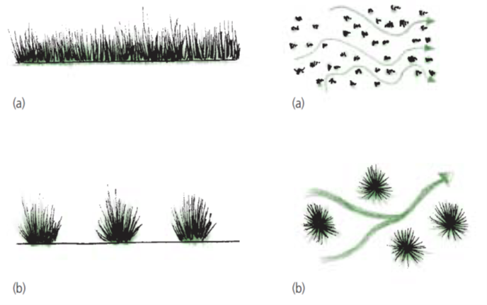 Figure 7 Dense, spreading grass is recommended as it encourages water to slow and spread out through many small flow paths (a). Tussock grass has larger gaps so water takes the path of least resistance bypassing the dense tussocks (b).  Image by Prosser and Karssies (2001).