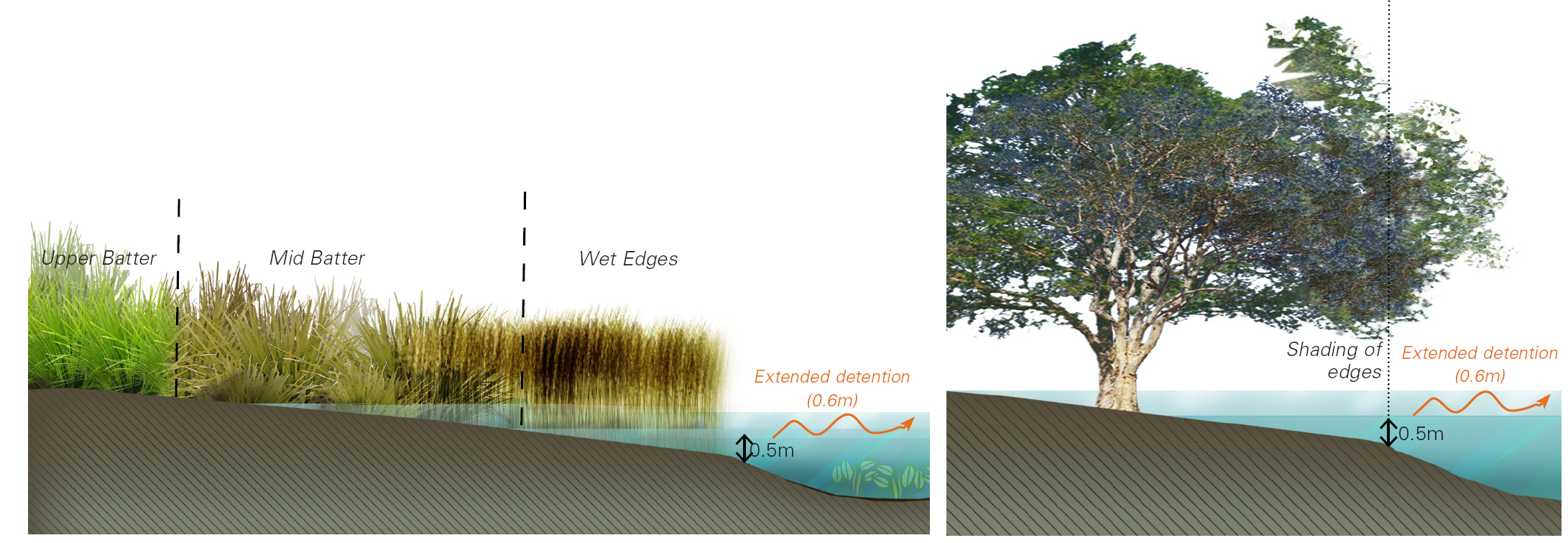 Figure 8 Planting concepts to encourage growth of reeds and sedges and minimise weeds in the macrophyte zone. Image by E2DesignLab